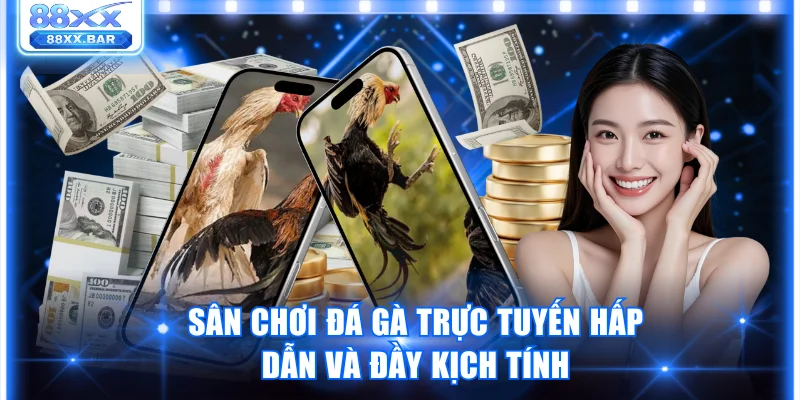 Sân chơi đá gà trực tuyến hấp dẫn và đầy kịch tính